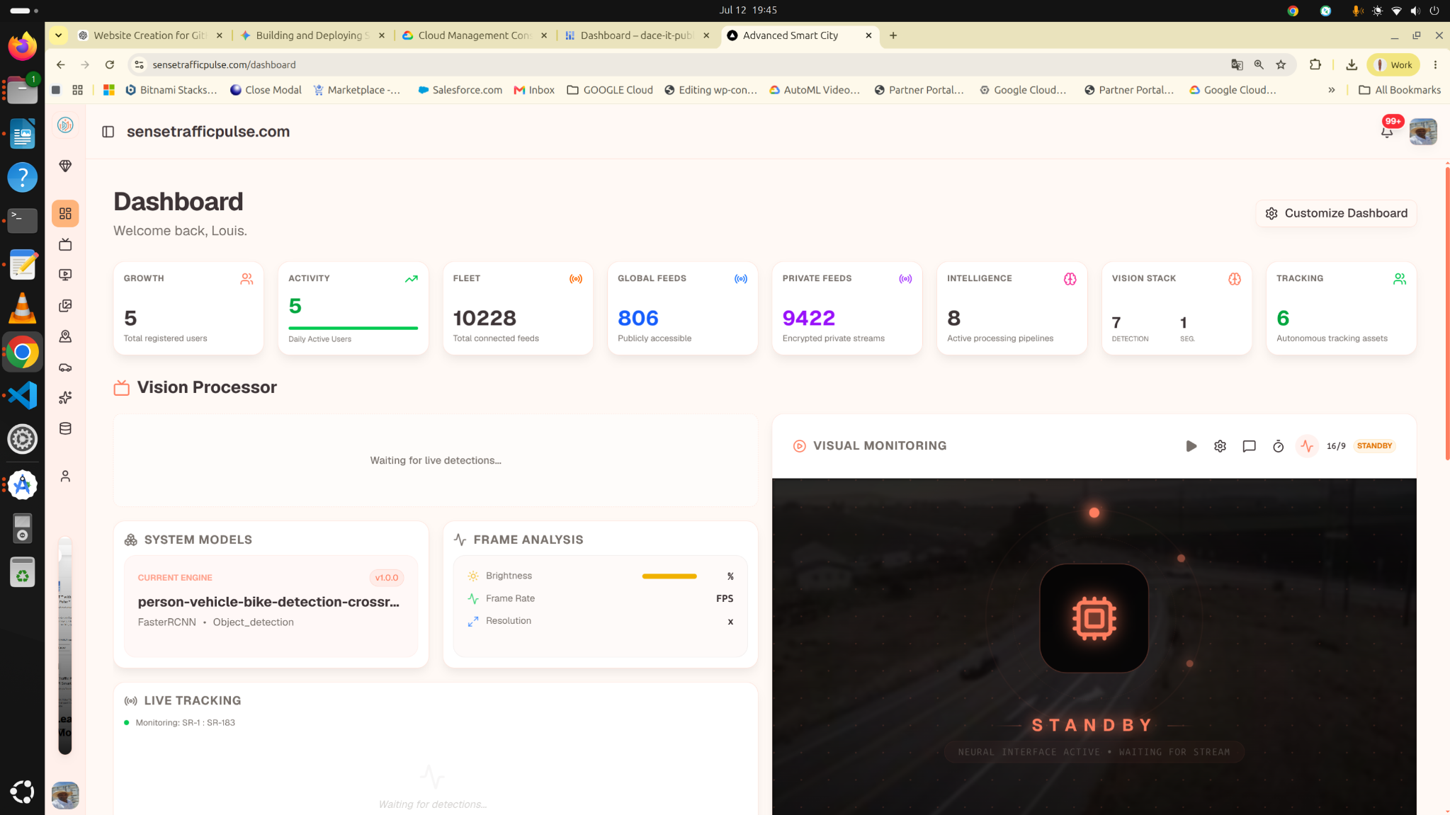 Sense Traffic Pulse™ dashboard showing connected feeds, vision processors, models and live tracking